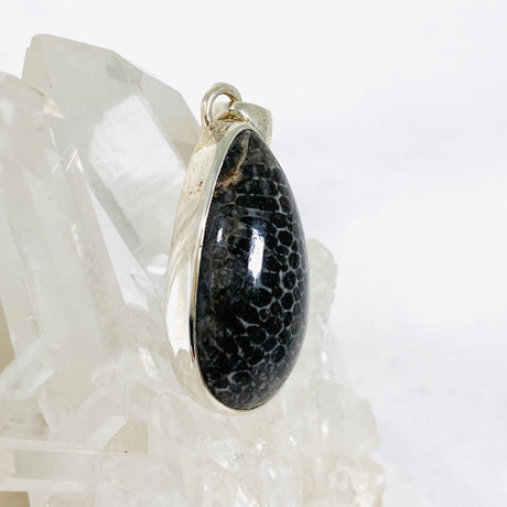 Black Fossilated Coral teardrop pendant KPGJ3128 - Nature's Magick