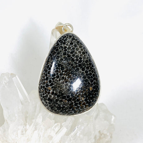 Black Fossilated Coral teardrop pendant KPGJ3129 - Nature's Magick