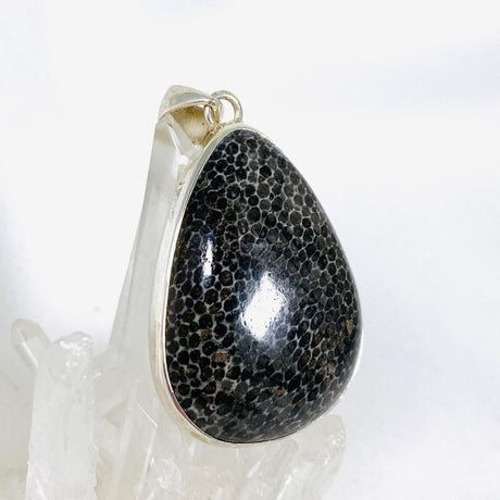 Black Fossilated Coral teardrop pendant KPGJ3129 - Nature's Magick