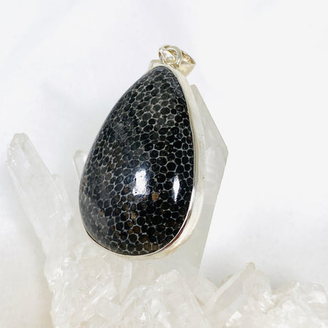 Black Fossilated Coral teardrop pendant KPGJ3129 - Nature's Magick