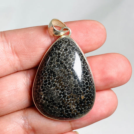 Black Fossilated Coral teardrop pendant KPGJ3129 - Nature's Magick