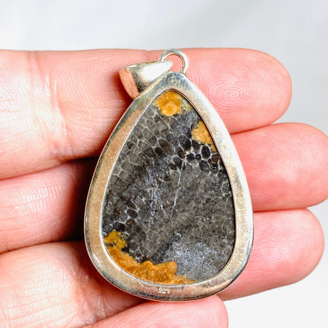 Black Fossilated Coral teardrop pendant KPGJ3129 - Nature's Magick