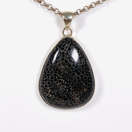 Black Fossilated Coral teardrop pendant KPGJ3129 - Nature's Magick