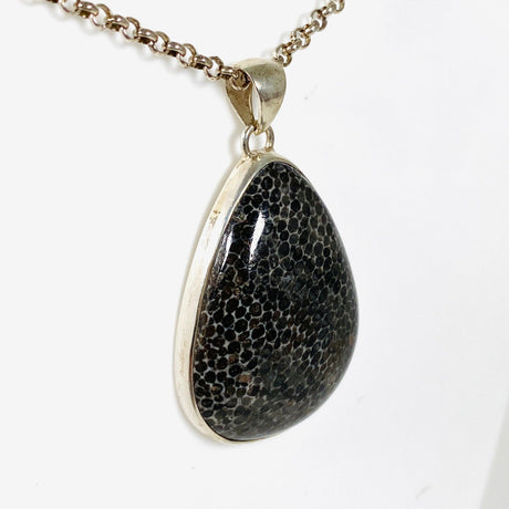 Black Fossilated Coral teardrop pendant KPGJ3129 - Nature's Magick