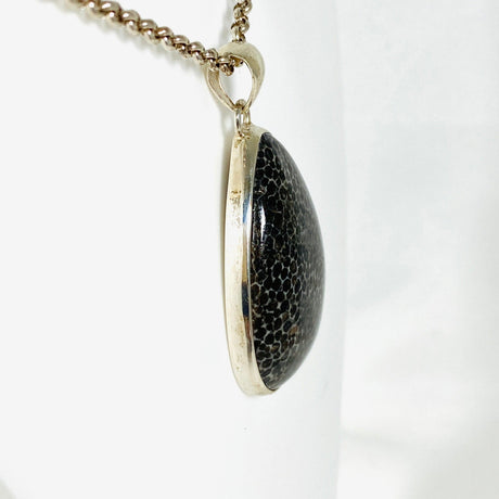 Black Fossilated Coral teardrop pendant KPGJ3129 - Nature's Magick