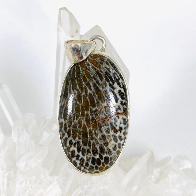 Black Fossilated Coral teardrop pendant KPGJ3131 - Nature's Magick