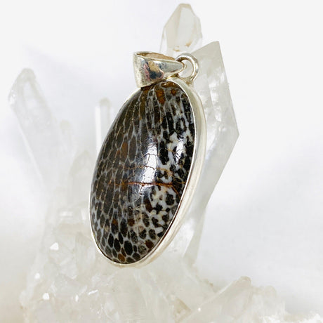 Black Fossilated Coral teardrop pendant KPGJ3131 - Nature's Magick