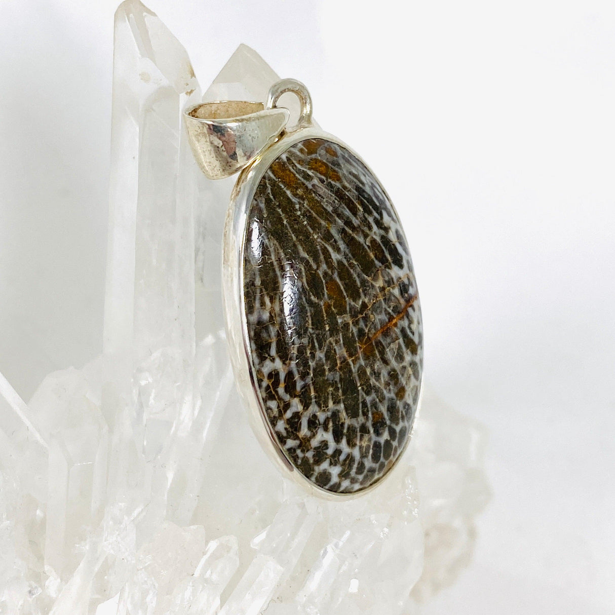 Black Fossilated Coral teardrop pendant KPGJ3131 - Nature's Magick