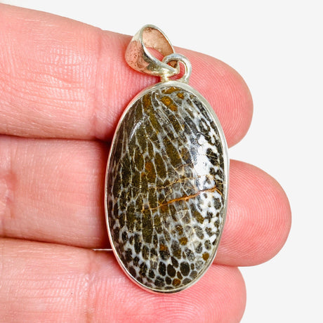 Black Fossilated Coral teardrop pendant KPGJ3131 - Nature's Magick