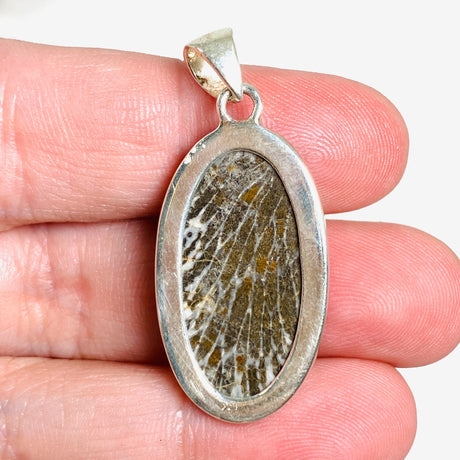 Black Fossilated Coral teardrop pendant KPGJ3131 - Nature's Magick