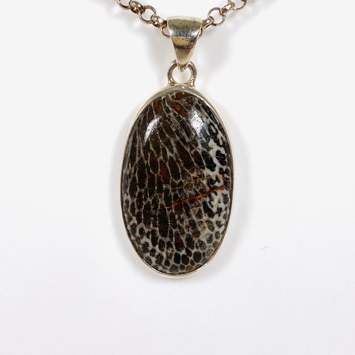 Black Fossilated Coral teardrop pendant KPGJ3131 - Nature's Magick