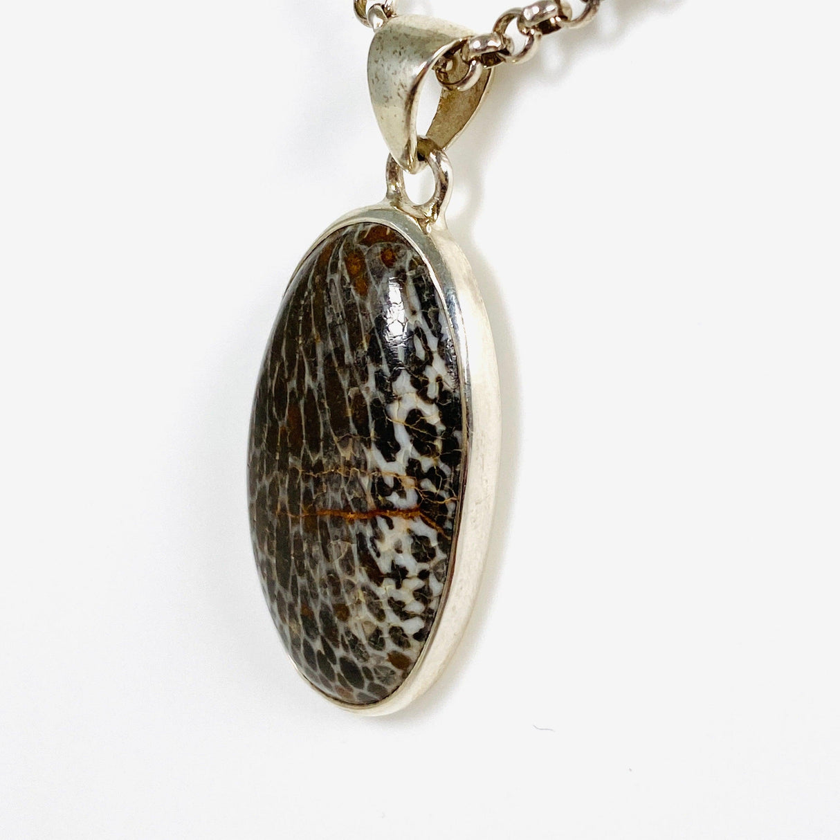 Black Fossilated Coral teardrop pendant KPGJ3131 - Nature's Magick