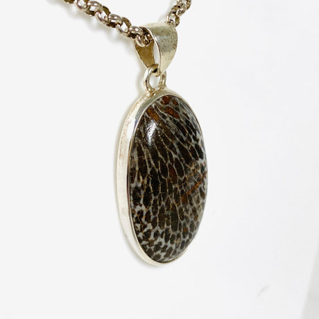 Black Fossilated Coral teardrop pendant KPGJ3131 - Nature's Magick