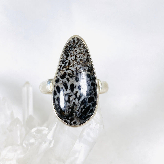 Black Fossilated Coral teardrop ring s.9 KRGJ2448 - Nature's Magick