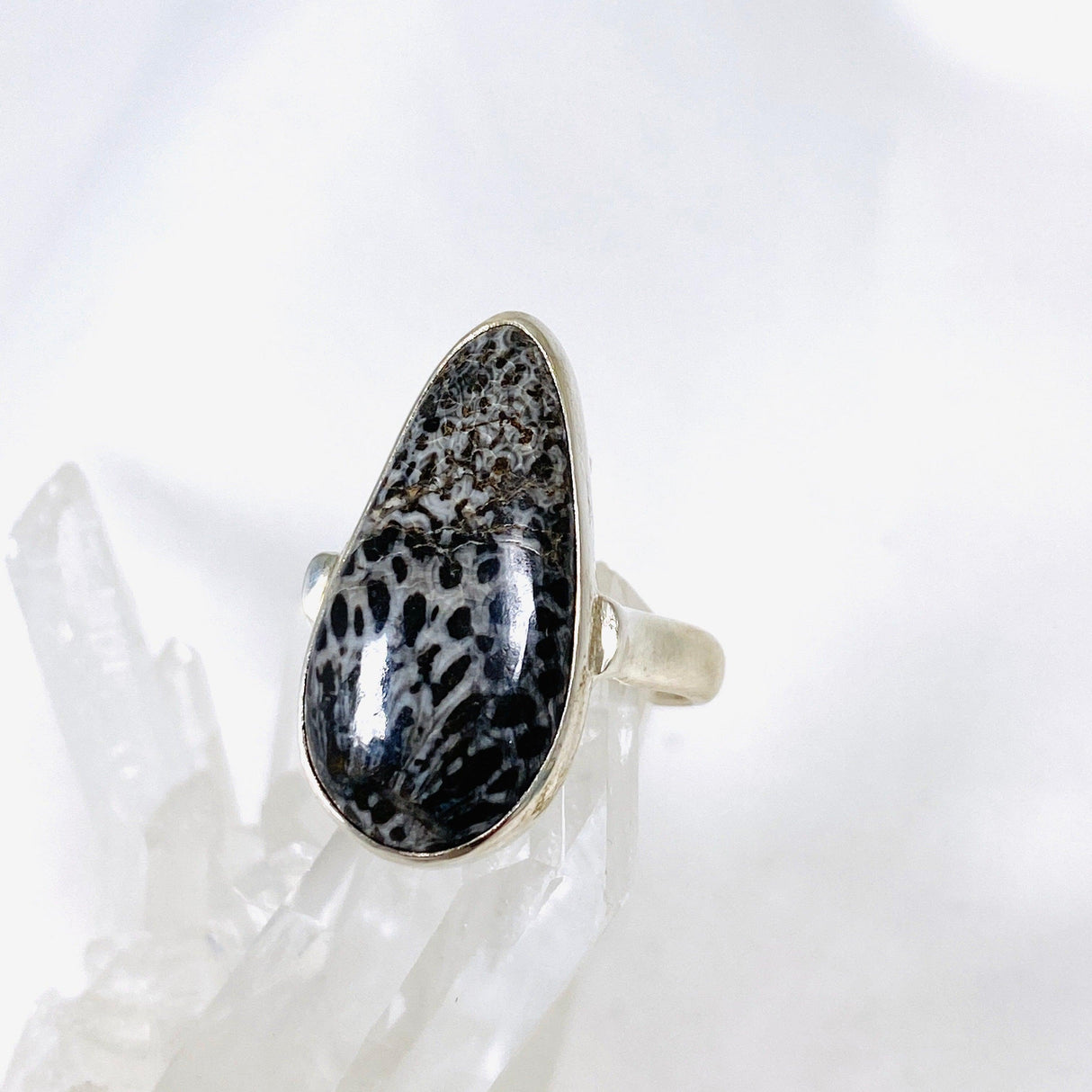 Black Fossilated Coral teardrop ring s.9 KRGJ2448 - Nature's Magick