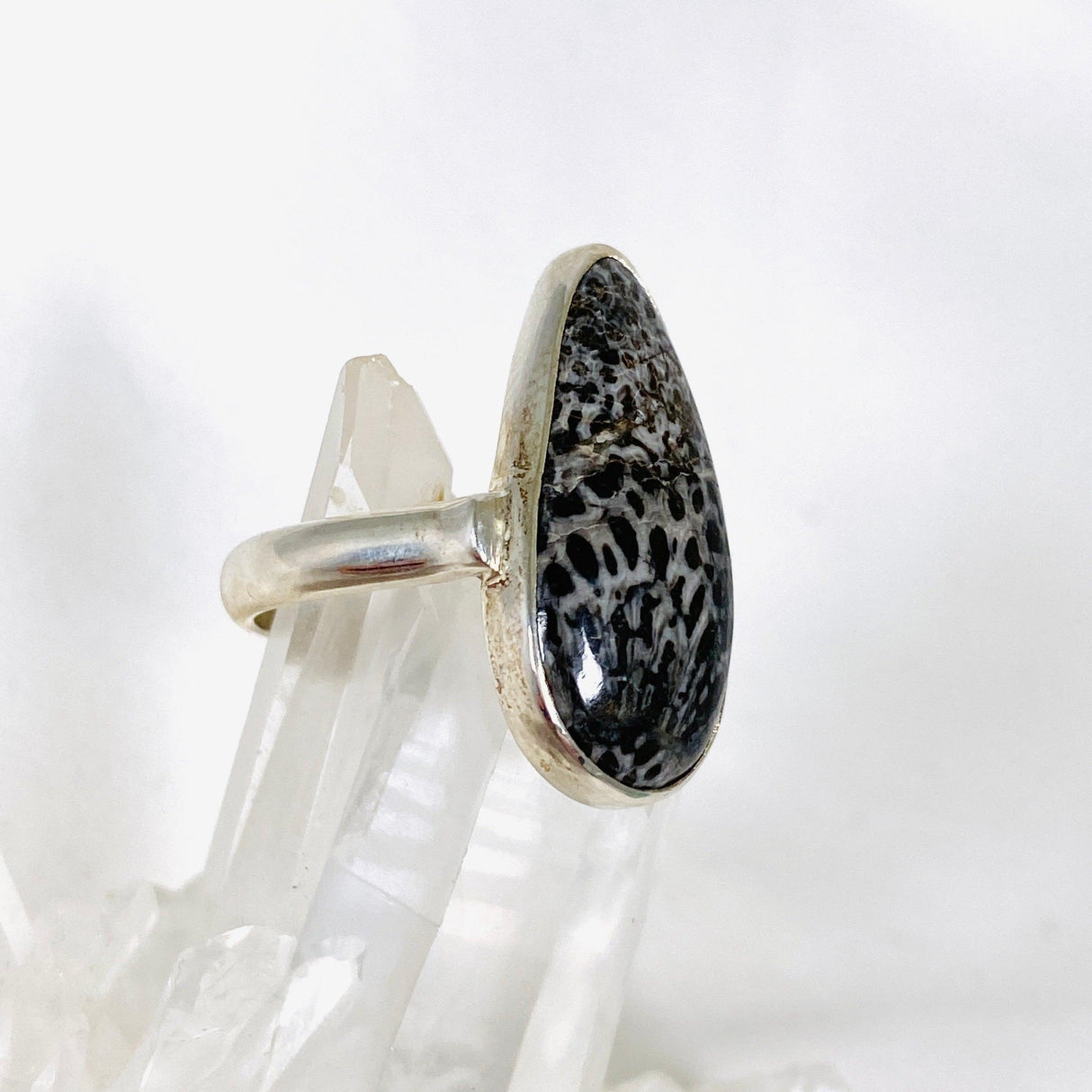 Black Fossilated Coral teardrop ring s.9 KRGJ2448 - Nature's Magick