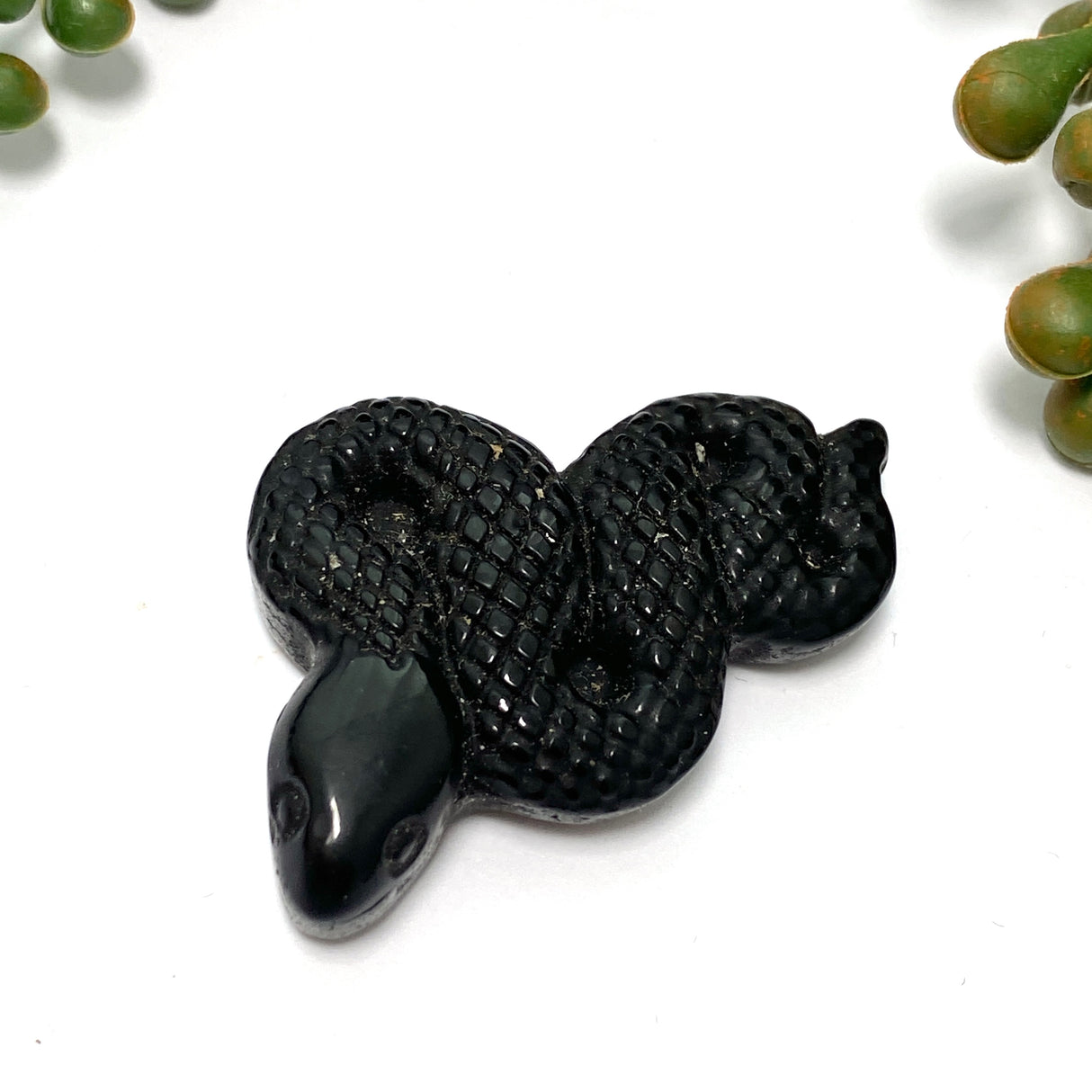 Black obsidian slithering snake BOSN-01