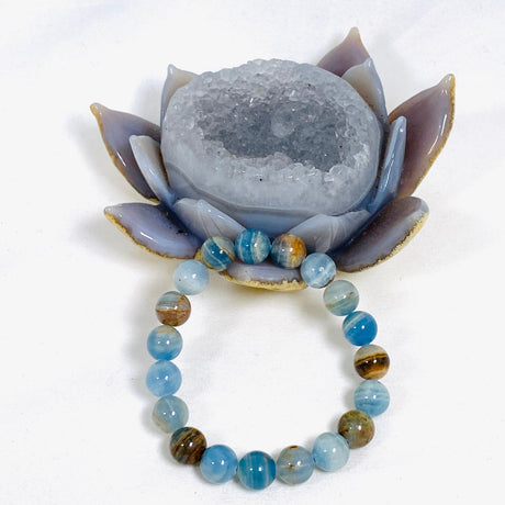 Blue Onyx Bracelet - Nature's Magick