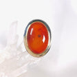 Carnelian oval ring with gold detailing s.7 KRGJ2864 - Nature's Magick