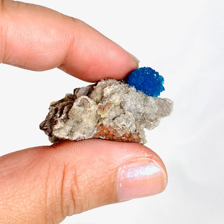 Cavansite Specimen CAV-22 - Nature's Magick