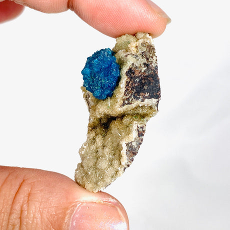 Cavansite Specimen CAV-23 - Nature's Magick