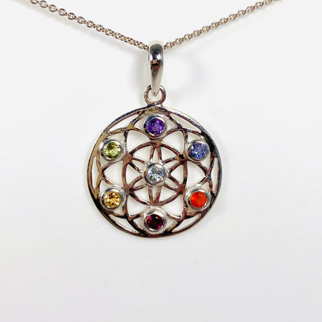 Chakra Pendant PF729 - Nature's Magick