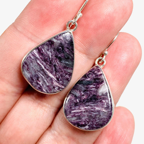 Purple Charoite tear drop earrings in sterling silver sitting in a hand