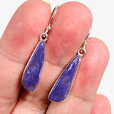Purple Charoite tear drop earrings in sterling silver sitting in a hand
