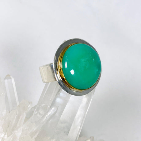 Chrysoprase round ring with brass detailing s.11 KRGJ2942 - Nature's Magick