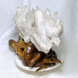 Clear Quartz Cluster with Wooden stand 5.1kg CQS-02 - Nature's Magick
