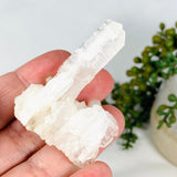 Clear Quartz - Faden Specimen CQ-44 - Nature's Magick