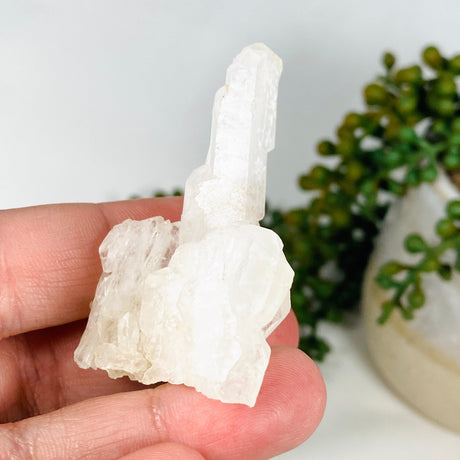 Clear Quartz - Faden Specimen CQ-44 - Nature's Magick