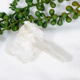 Clear Quartz - Faden Specimen CQ-44 - Nature's Magick