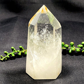 Clear Quartz point CLQP01 - Nature's Magick