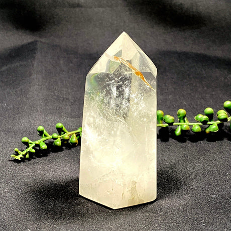 Clear Quartz point CLQP01 - Nature's Magick