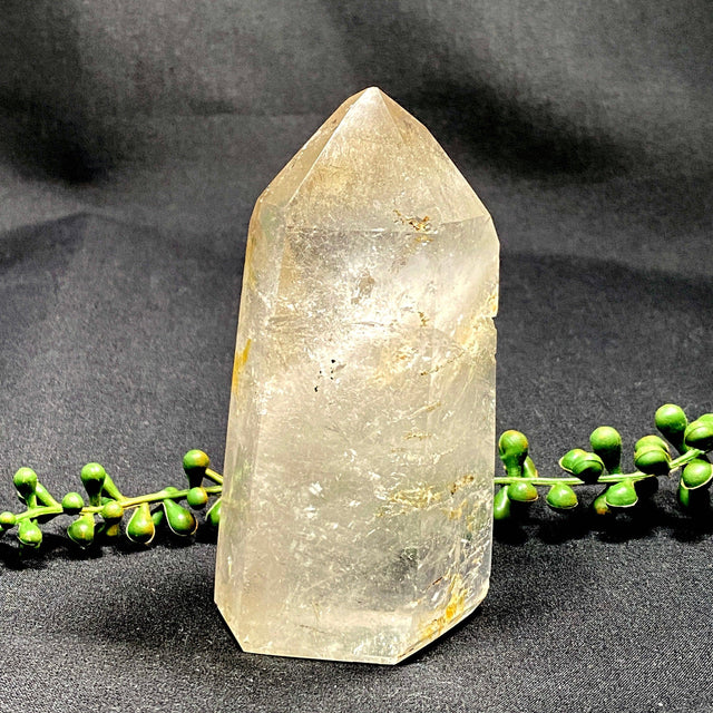 Clear Quartz point CLQP02 - Nature's Magick