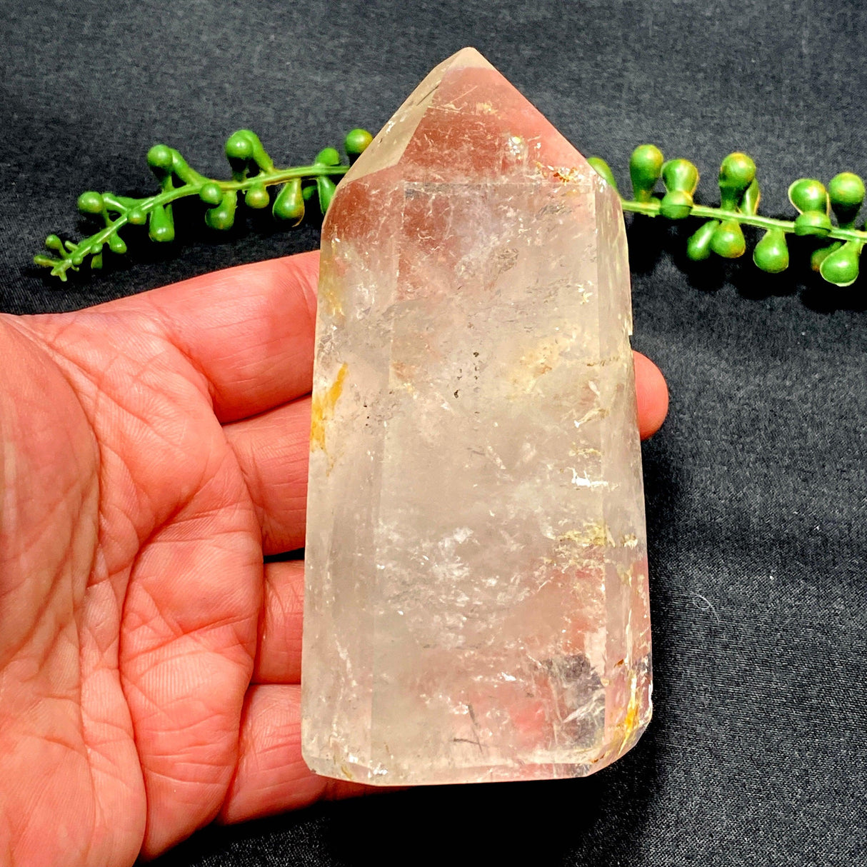 Clear Quartz point CLQP02 - Nature's Magick