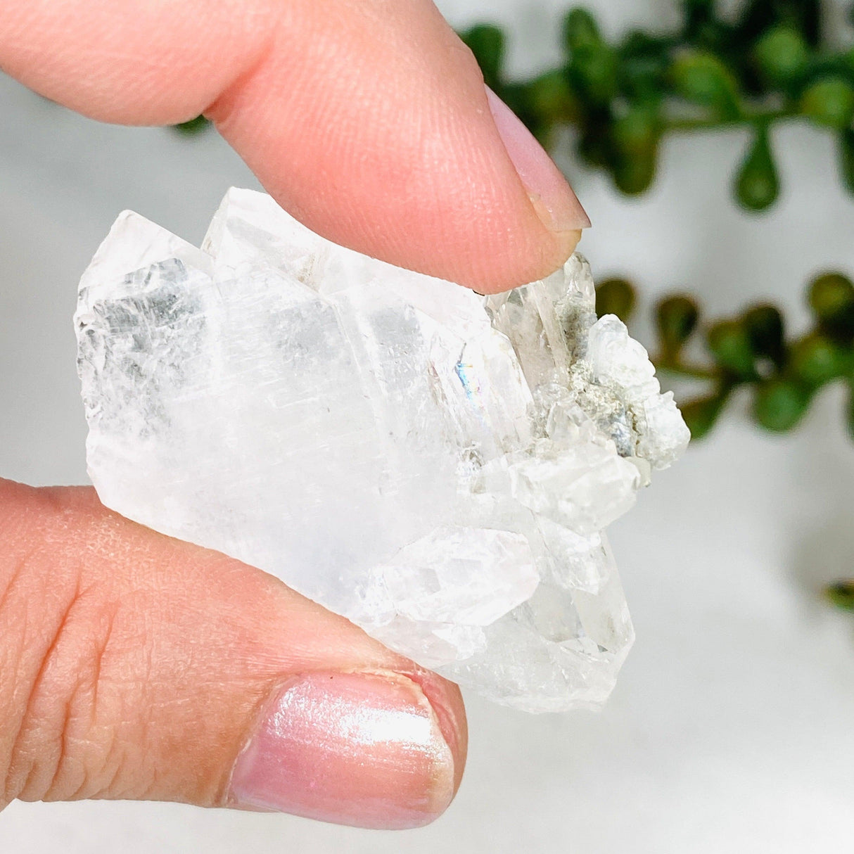 Clear Quartz skeletal crystal CQ-35 - Nature's Magick