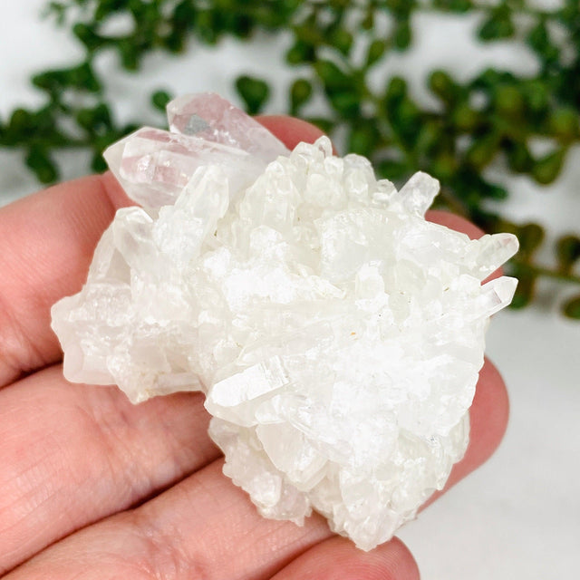 Clear Quartz small cluster CQ-31 - Nature's Magick