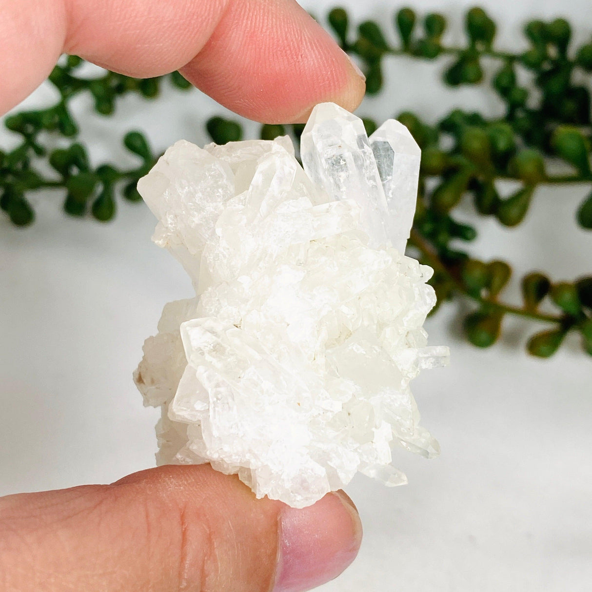 Clear Quartz small cluster CQ-31 - Nature's Magick