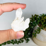 Clear Quartz Tabular cluster CQ-46 - Nature's Magick