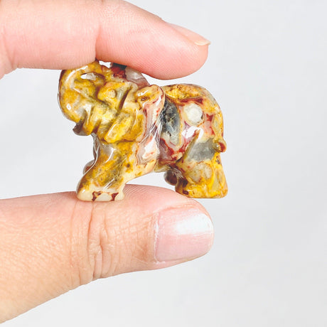 Crazy Lace Agate Elephant - Nature's Magick