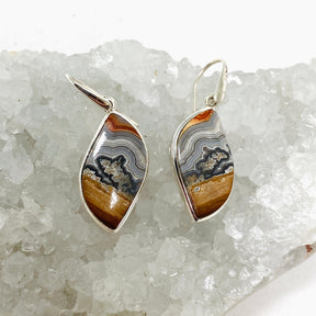 Crazy Lace Agate Freeform Earrings PEGJ162 - Nature's Magick