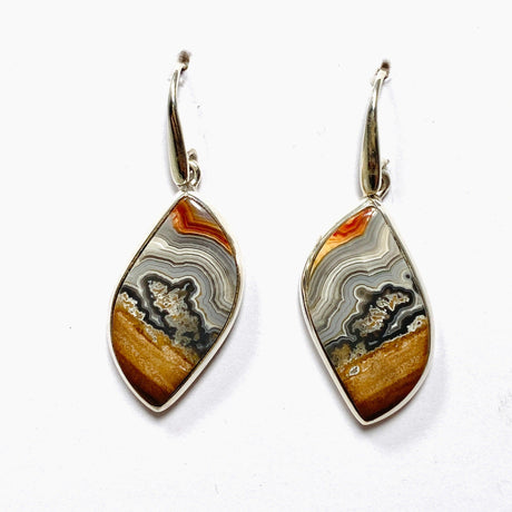 Crazy Lace Agate Freeform Earrings PEGJ162 - Nature's Magick