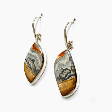 Crazy Lace Agate Freeform Earrings PEGJ162 - Nature's Magick