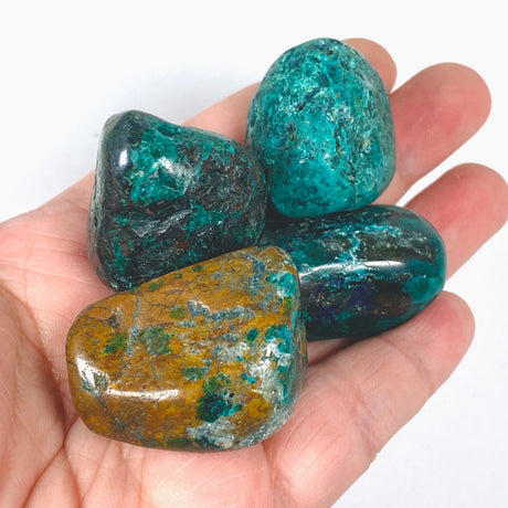 Dioptase tumbled stones - Nature's Magick