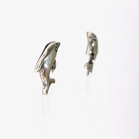 Dolphin Stud Earrings SE352A - Nature's Magick