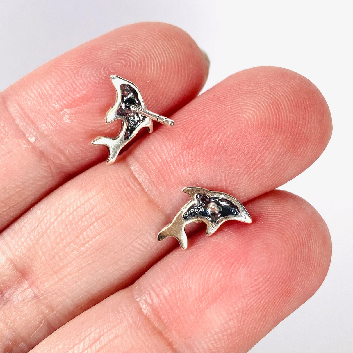 Dolphin Stud Earrings SE352A - Nature's Magick