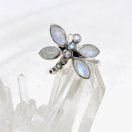 Dragonfly Ring with Faceted Moonstone R3887 - Nature's Magick