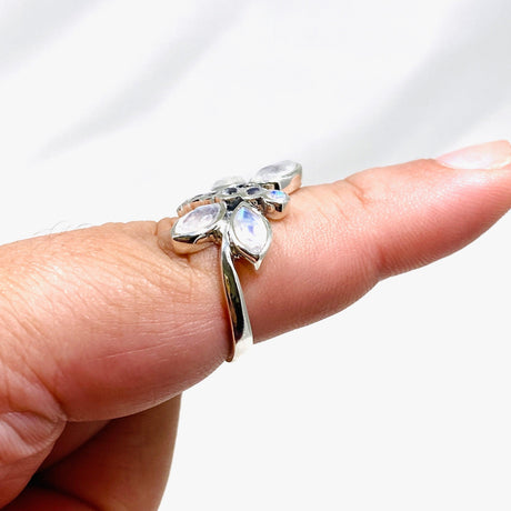 Dragonfly Ring with Faceted Moonstone R3887 - Nature's Magick